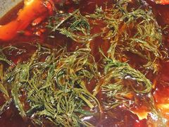 -杨肥肠火锅大排档(火车站花园店)