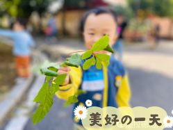 -长沙小顽国景区
