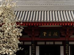 -大慈恩寺(大雁塔)
