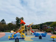 -铁山坪森林公园