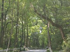-龙井壹号·茶缘山景宴(龙井村店)