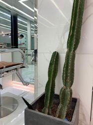 -潘多拉Hairsalon
