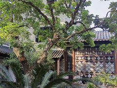 -东莞市可园博物馆