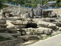 -栾川竹海野生动物园