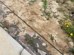-海驴岛(荣成市)