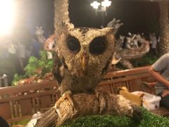 -清迈夜间动物园