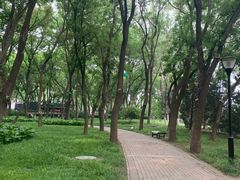 -玲珑塔公园