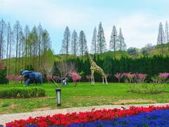 -棒棰岛宾馆景区