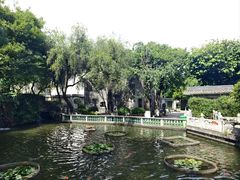 -碧江金楼