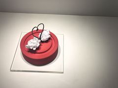 -罗红摄影艺术馆