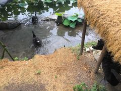 -上海怡沁园度假酒店