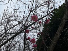 -山湖温泉