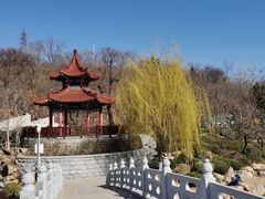 -大连植物园