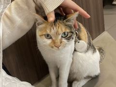 -Again Coffee Roaster(香蜜湖店)