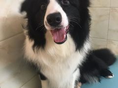 -喵汪宠物生活馆(涞坊路店)