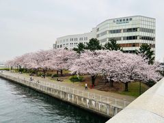 -横滨地标大厦