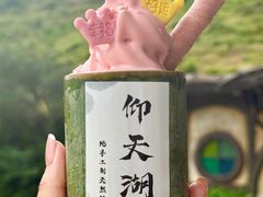-仰天湖大草原