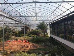 -无锡动物园·太湖欢乐园