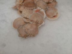 -鑫海汇海鲜烤肉火锅自助(七彩城店)