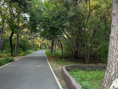 -北陵公园