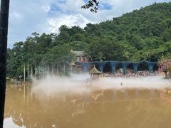 -西双版纳原始森林公园