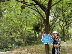 -广州市帽峰山景区