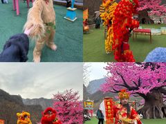 -河南宝泉旅游区