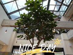 -大树餐厅(红旗街万达店)