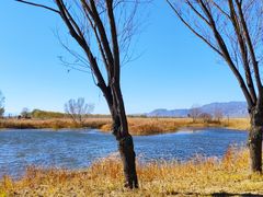 -野鸭湖国家湿地公园
