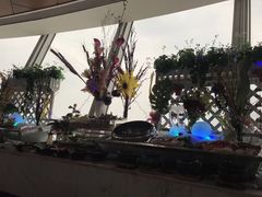 -339旋转餐厅(天府熊猫塔店)