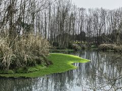 -桤木河湿地公园