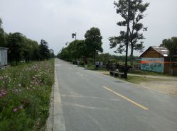 -水八仙生态园