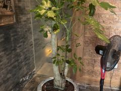 -顺兴老茶馆·精品川菜(世纪城店)