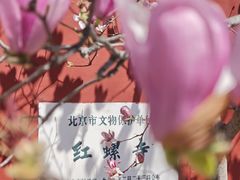 -红螺寺