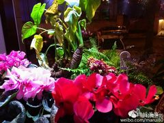android_upload_pic-云上千禾(水上店)