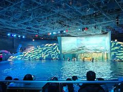 -海合安青岛极地海洋公园