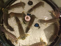 -强记海鲜·大排档(蛇口新街店)
