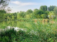 -Supine Bistro溯泮餐厅