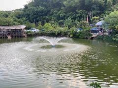 -南海鸽天下(肇庆店)
