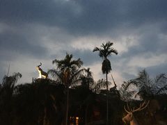 -清迈夜间动物园