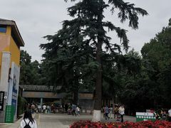 -昆明动物园