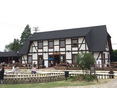 -金山农民画村-枫泾波兰倒置屋