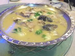 -丁老爷子苏香圆