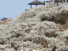 -原乡小镇度假乐园