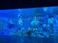 -哈尔滨波塞冬海底世界
