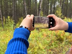 -莫尔道嘎国家森林公园