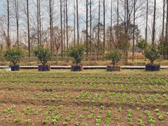 -前小桔亲子创意农场·草莓采摘·露营烧烤