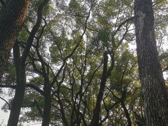 -天一阁博物院