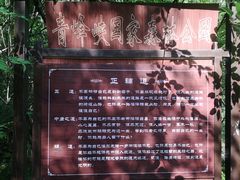 -青峰峡国家森林公园