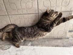 -川湘小厨(江场西路店)